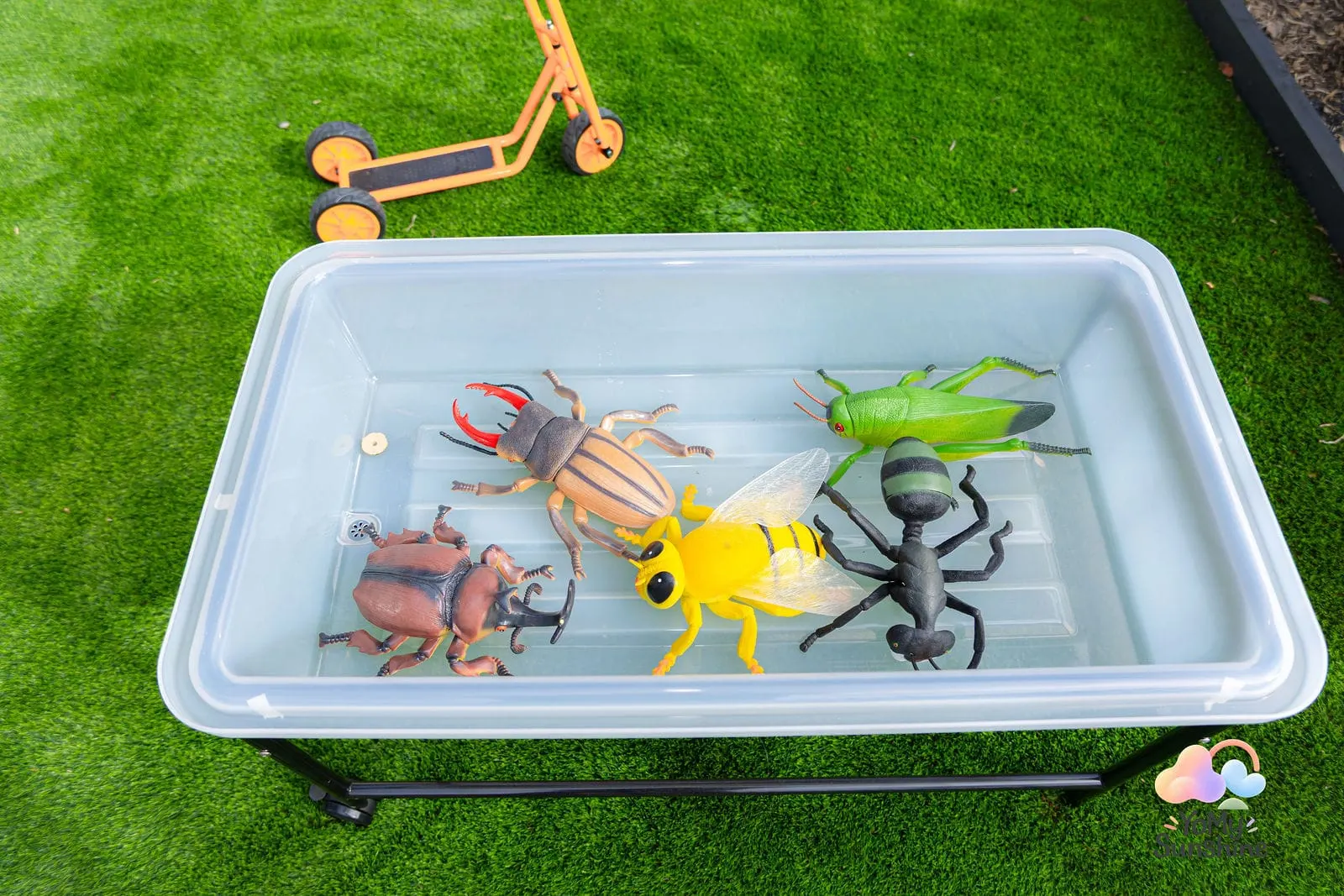 Toy insects in a water play tub on the outdoor grass